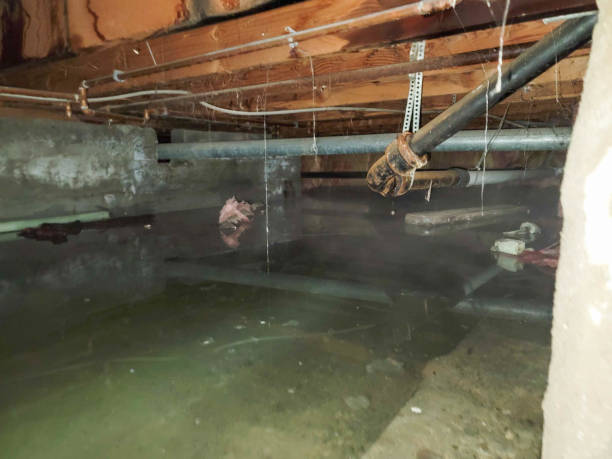 Local water damage restoration in Moundridge, KS