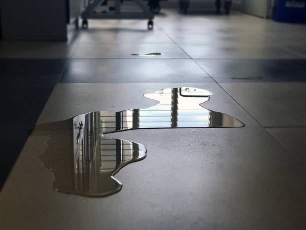 Best 24/7 water damage repair  in Moundridge, KS
