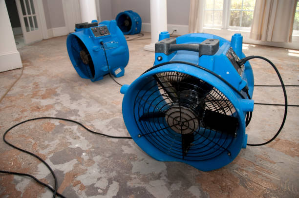 Best Commercial water damage restoration  in Moundridge, KS