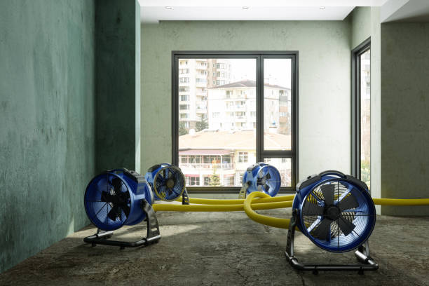 Best Water damage restoration process  in Moundridge, KS